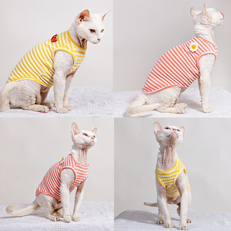 스핑크스 고양이 의류용 여름 티셔츠, 부드러운 반소매  - Soft Summer Yellow Clothing 리뷰 및 가격