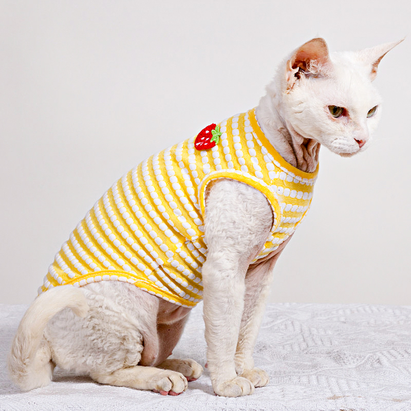 스핑크스 고양이 의류용 여름 티셔츠, 부드러운 반소매  - Soft Summer Yellow Clothing 리뷰 및 가격