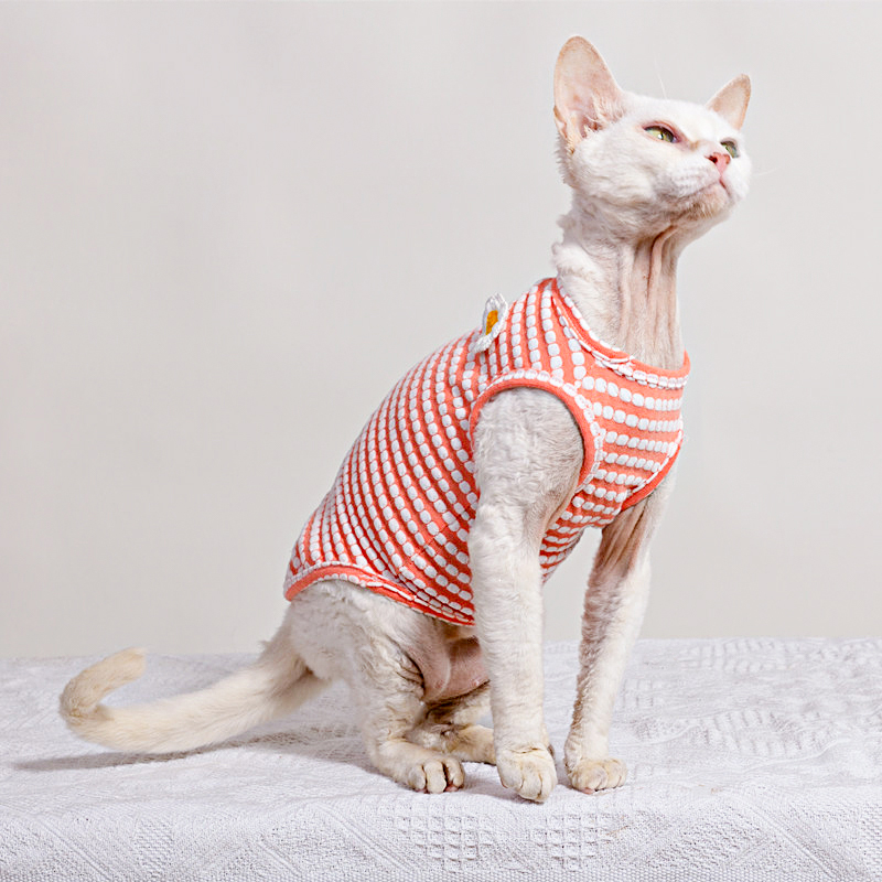 스핑크스 고양이 의류를위한 여름 티셔츠 부드러운 반팔  - Soft Summer Yellow Clothing 리뷰 및 가격