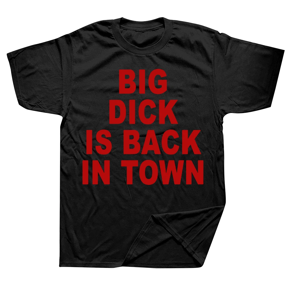 Big Dick Fun Sex Guide 티셔츠 그래픽 - Summer Clothing Guide 리뷰 및 가격